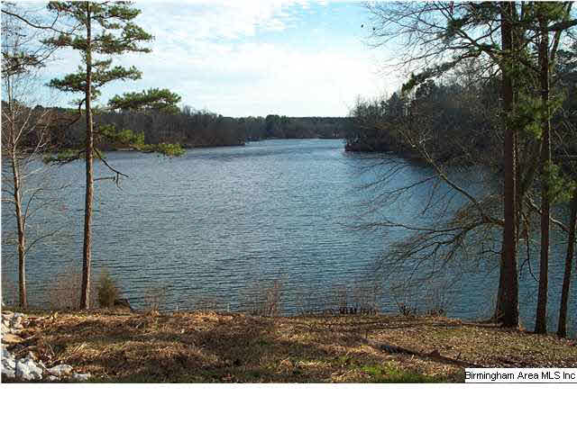 152 Lakeside Circle Delta, AL 36258 - Photo 6 of 26