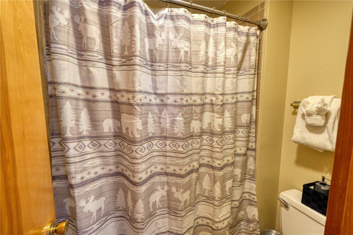 94300 Ryan Gulch Road, Unit 94302 Silverthorne, CO 80498 - Photo 16 of 33 a bathroom with a shower curtain