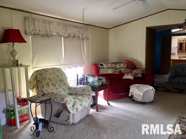 5774 Stagecoach Road Pleasant Plains, IL 62677 - Photo 9 of 25 Gallery Image 9