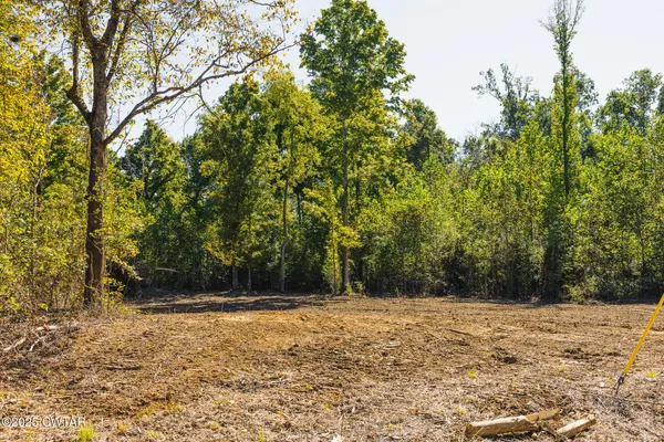 $59,000 | 8 Hearn Road, Greenfield, TN 38230