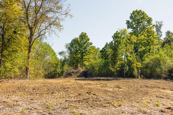 $59,000 | 8 Hearn Road, Greenfield, TN 38230