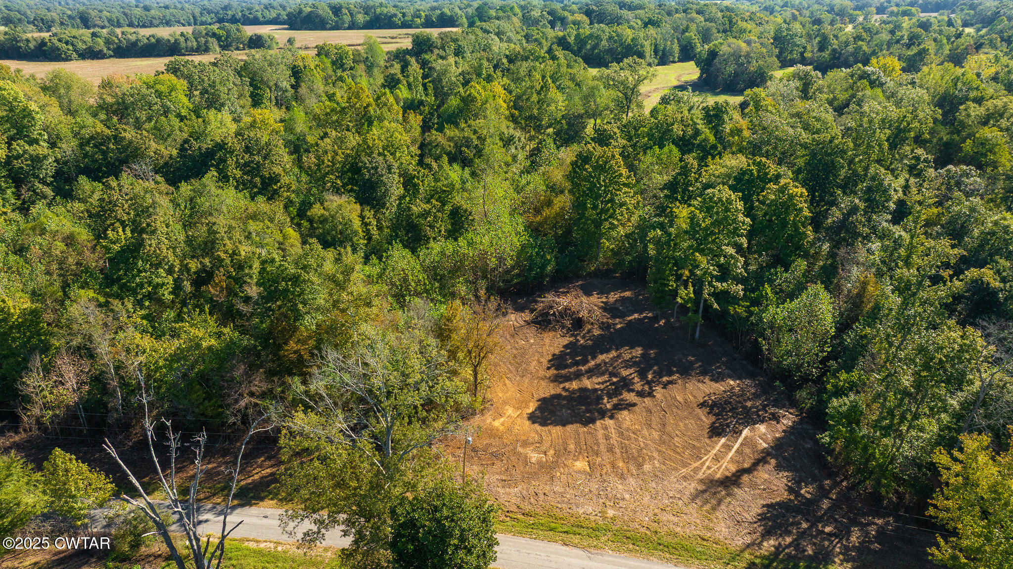 8 Hearn Road Greenfield, TN 38230 - Photo 6 of 14 DJI_20251009103008_0079_D