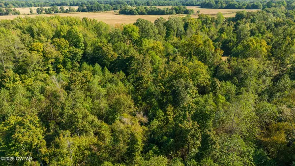 $59,000 | 8 Hearn Road, Greenfield, TN 38230