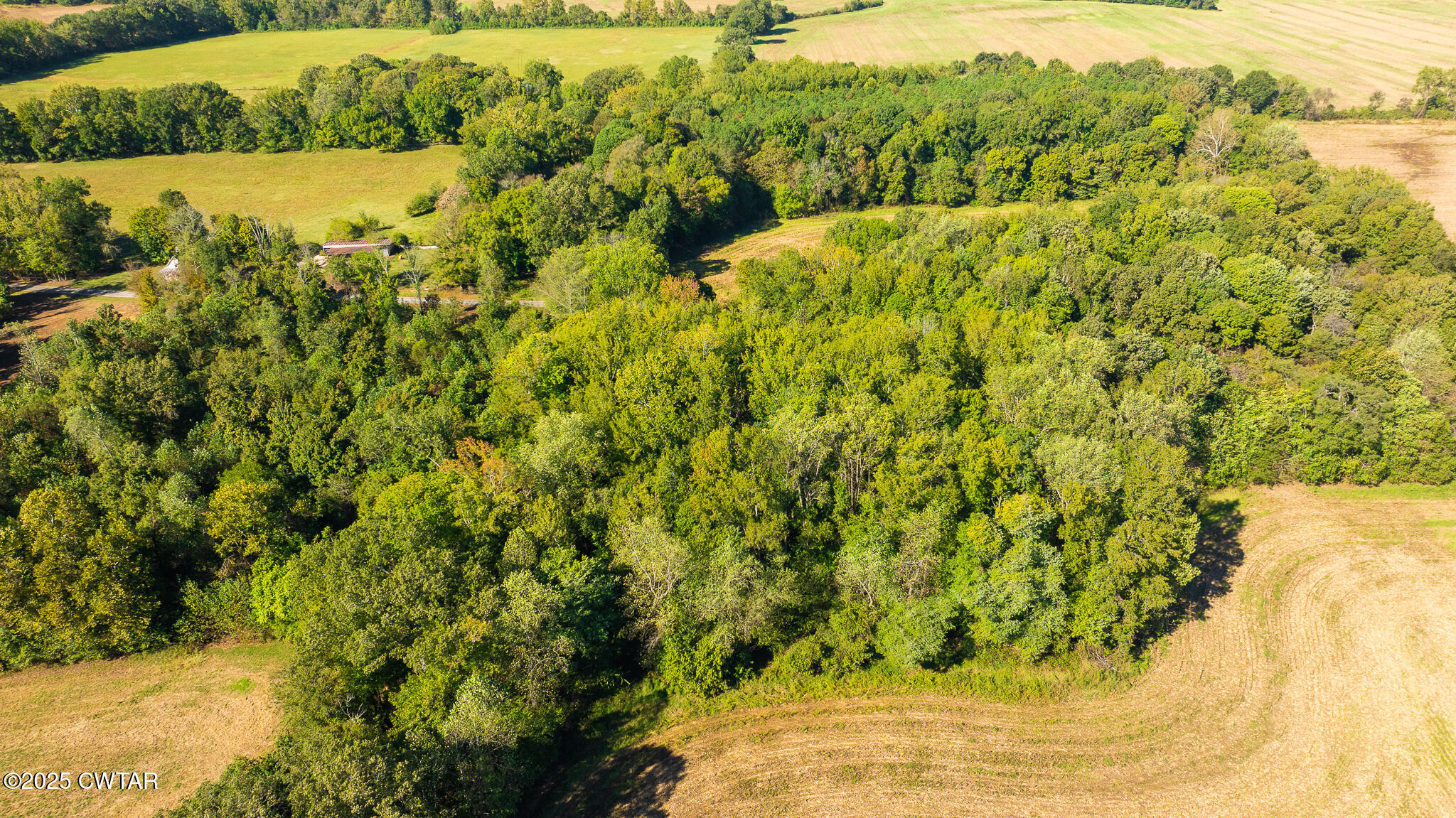 8 Hearn Road Greenfield, TN 38230 - Photo 8 of 14 DJI_20251009103059_0081_D