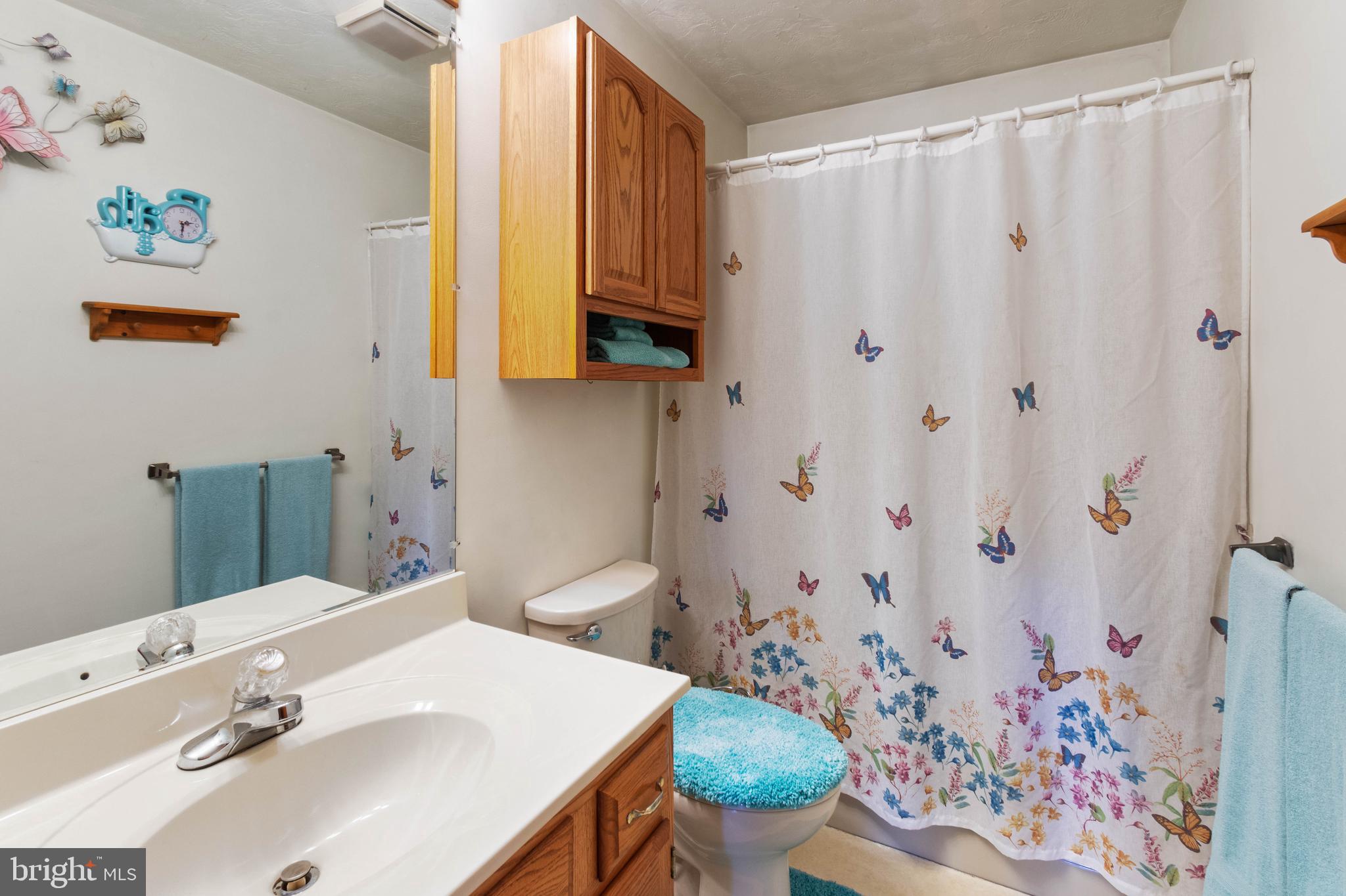1424 Fish And Game Road Littlestown, PA 17340 - Photo 20 of 32 Hall bathroom