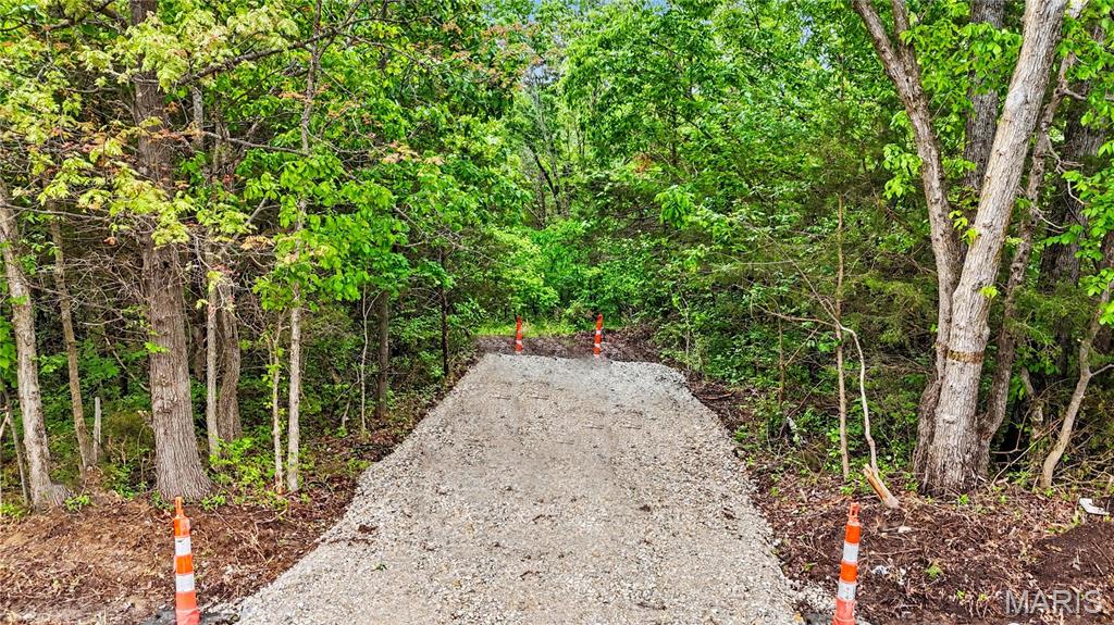 3392 Lynch Road Pacific, MO 63069 - Photo 2 of 6