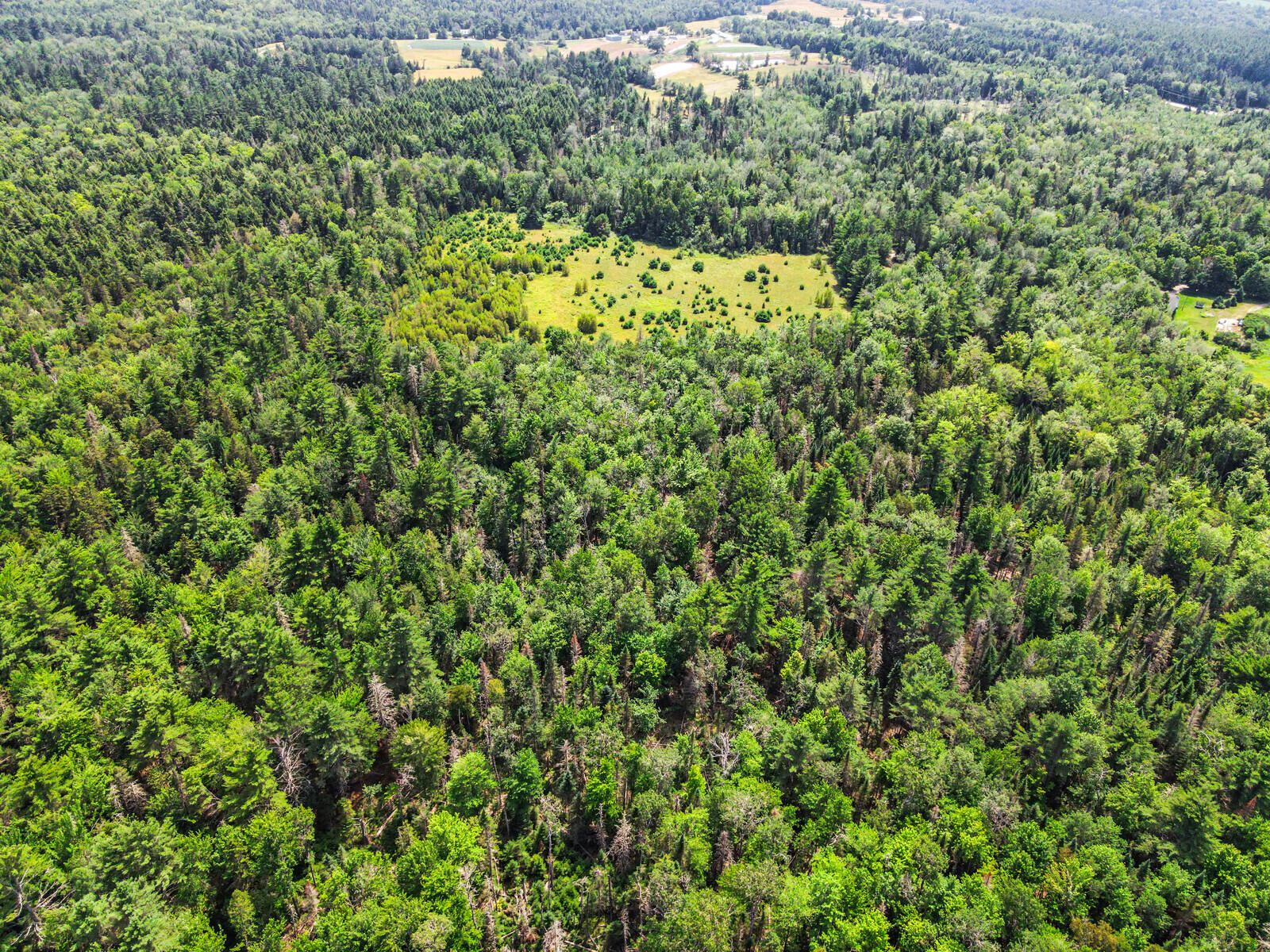 0 Raven / Hamm Road Thorndike, ME 04986 - Photo 11 of 14 09_DJI_0823_copy_DxO_mls