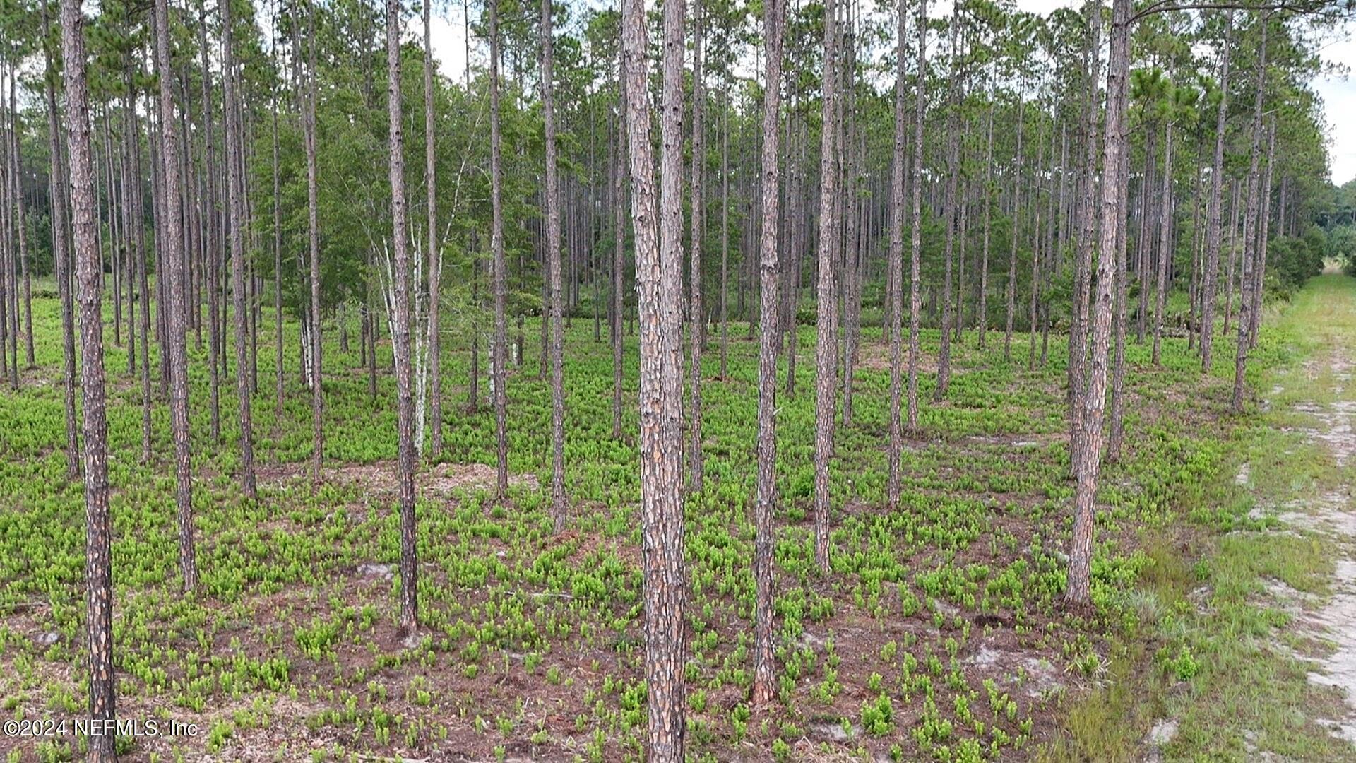 Lot 3 Us Highway Jacksonville, FL 32234 - Photo 5 of 8