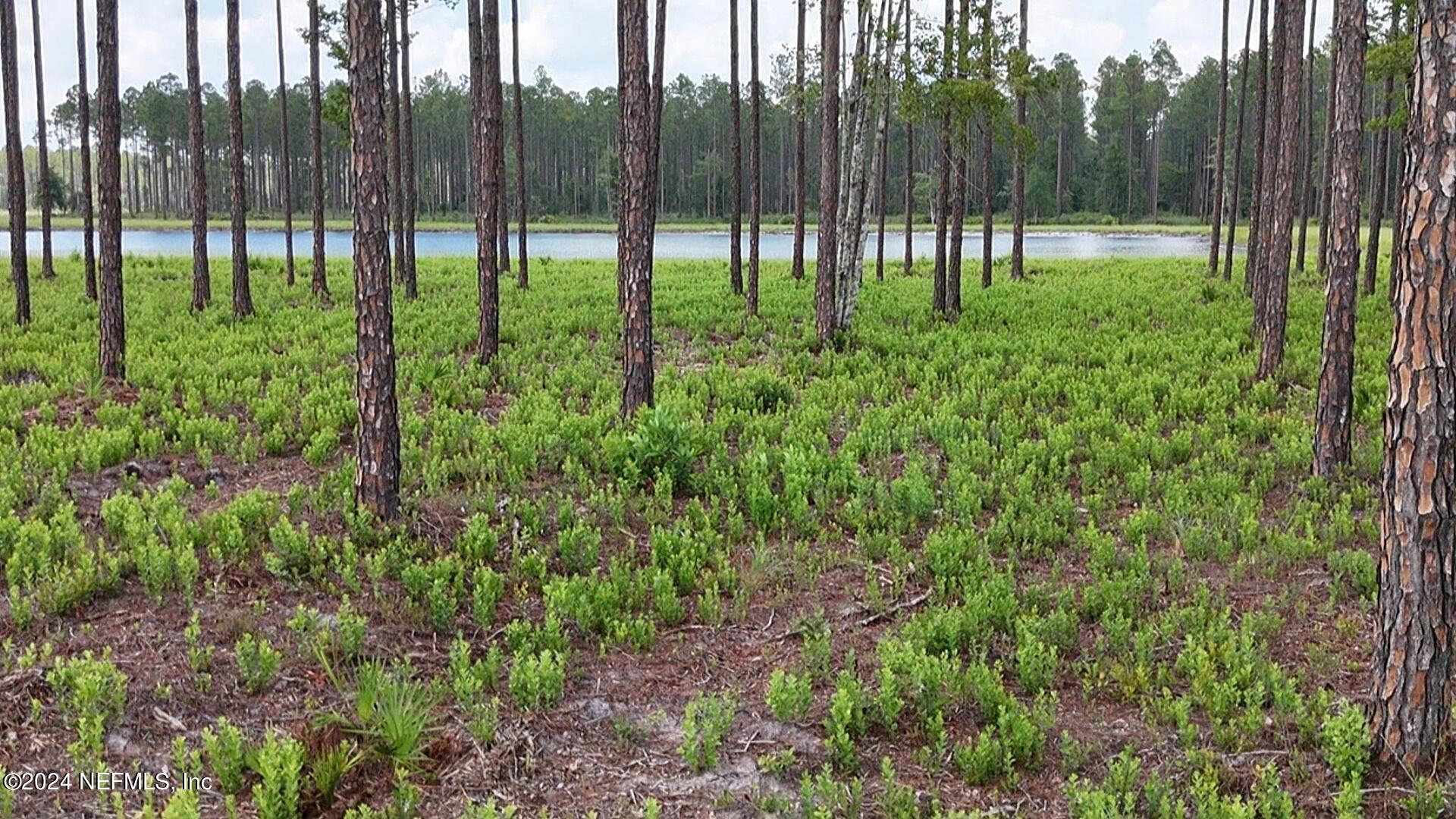 Lot 3 Us Highway Jacksonville, FL 32234 - Photo 7 of 8 a view of outdoor space and garden