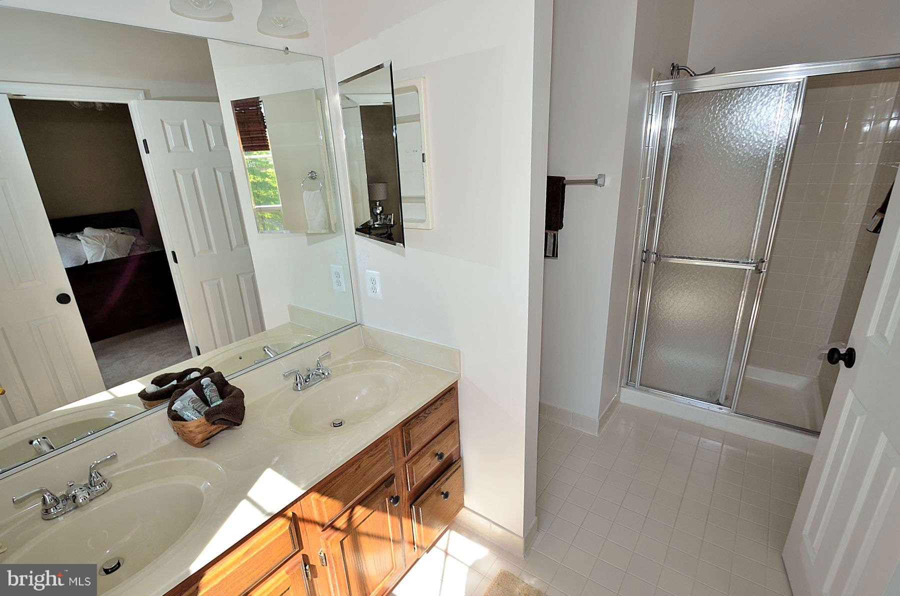 14006 Winding Ridge Lane Centreville, VA 20121 - Photo 14 of 21 Bath (Master)
