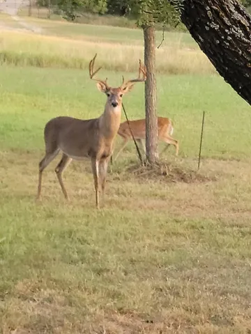 $2,100,000 | 177 County Road 410, Goldthwaite, TX 76844