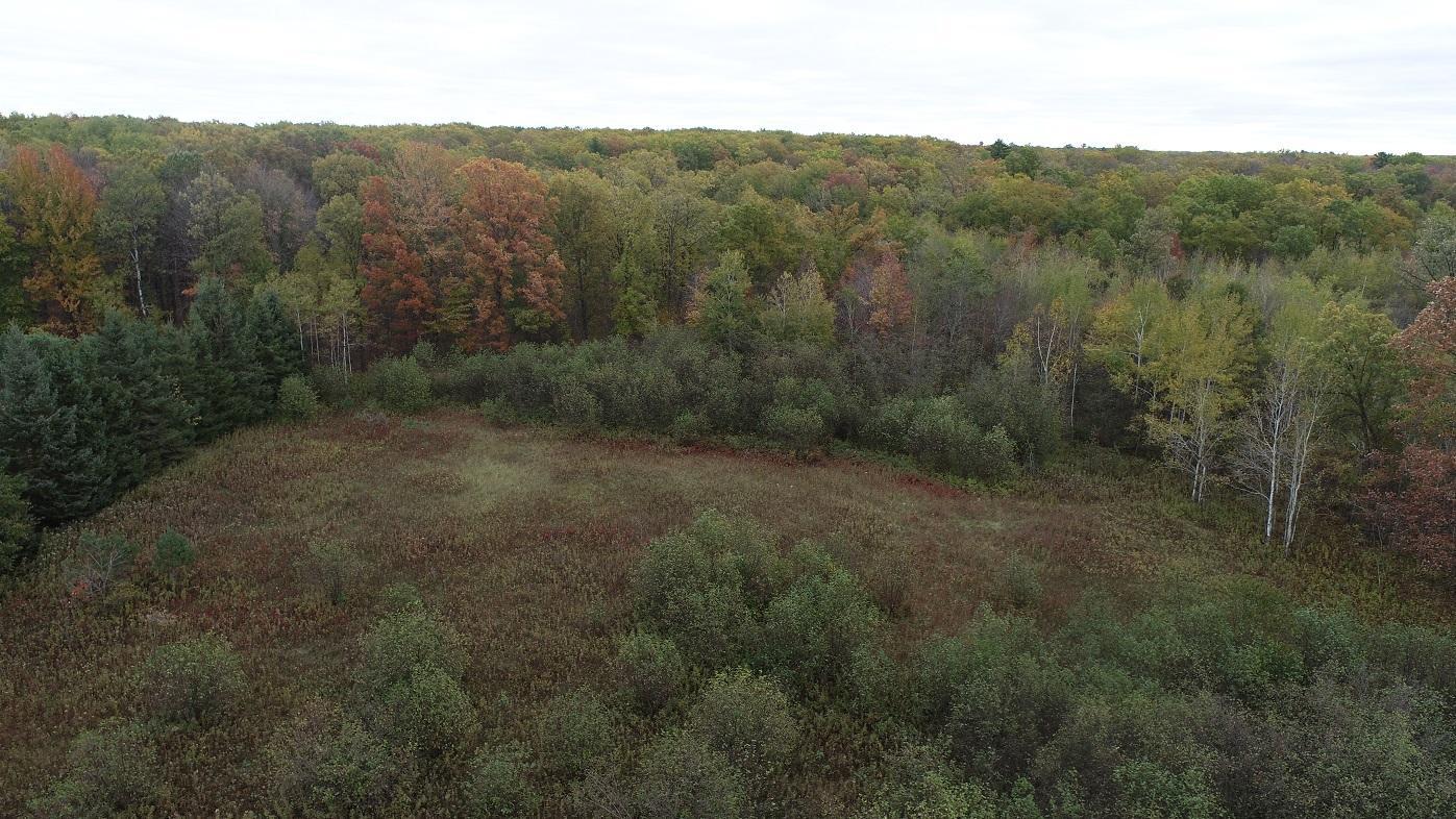 0 20th Avenue Cadott, WI 54727 - Photo 2 of 18