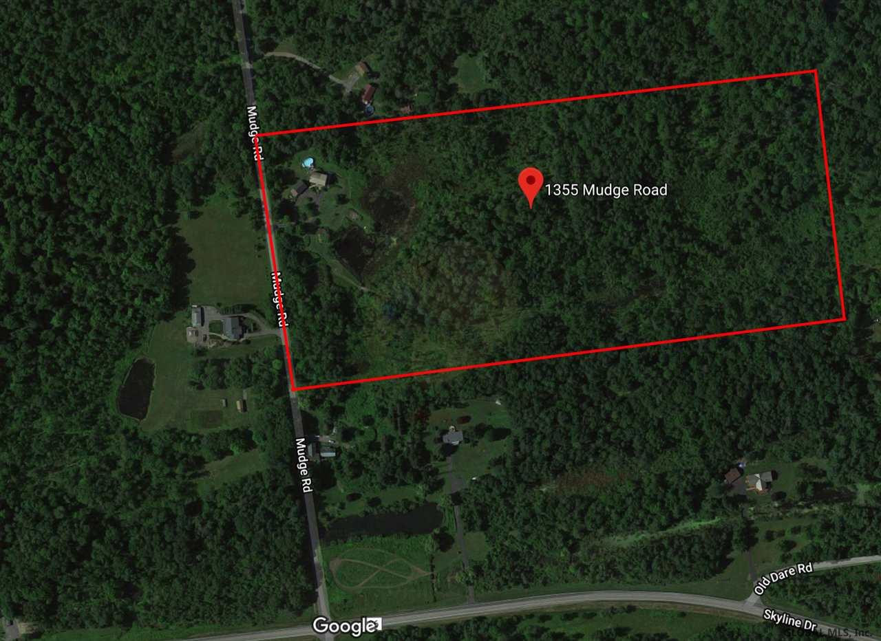 1355 Mudge Road Delanson, NY 12053 - Photo 4 of 39 Photo 4
