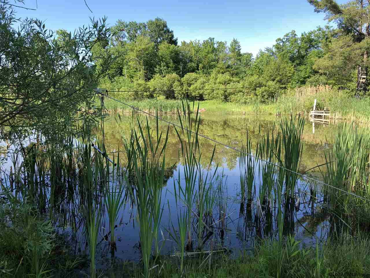 1355 Mudge Road Delanson, NY 12053 - Photo 7 of 39 Photo 7