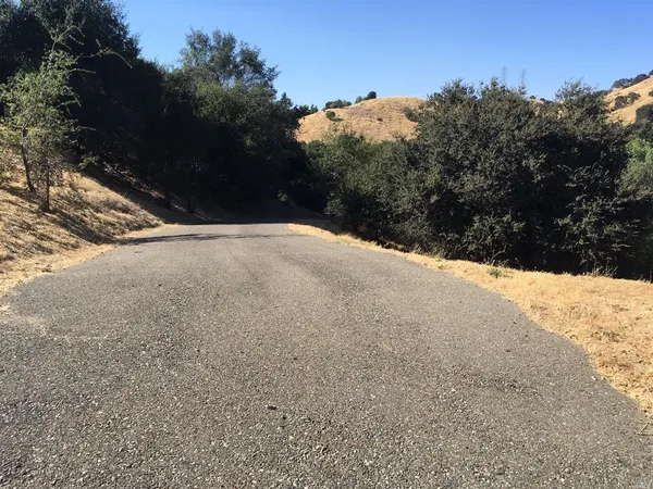 a view of outdoor space and trees