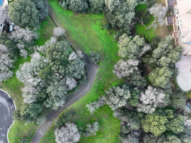 a view of a garden with a flower garden