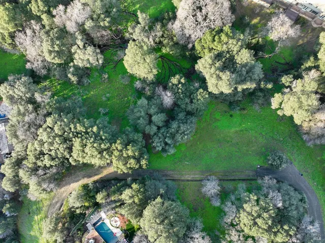 a green field with lots of trees in it