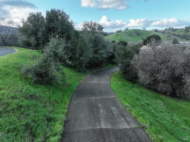 a view of a yard with large trees