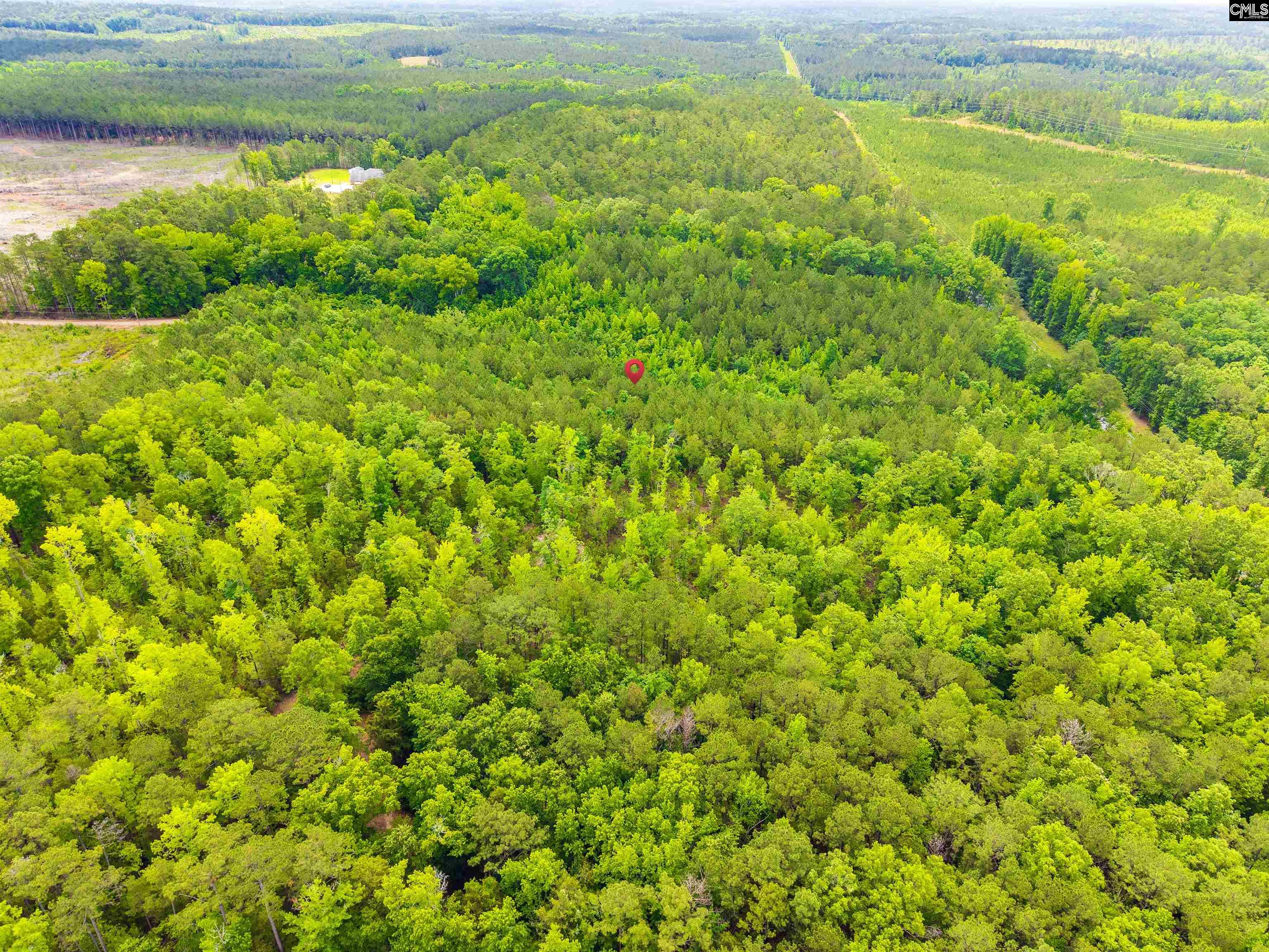 1710 John G Richards Road Camden, SC 29020 - Photo 4 of 9