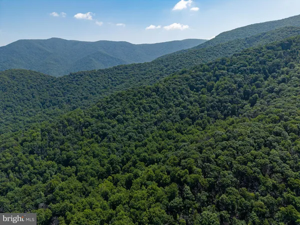 $45,900 | 0 Helms Road, Stanley, VA 22851