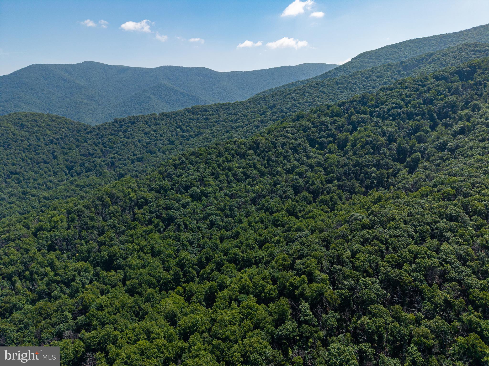 0 Helms Road Stanley, VA 22851 - Photo 1 of 50
