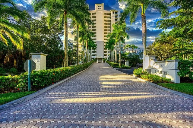 a view of a yard with plants and palm trees
