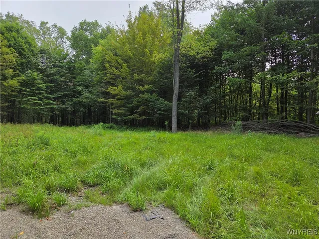 $39,900 | 11024 Pine Drive, Leon, NY 14719