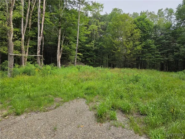 $39,900 | 11024 Pine Drive, Leon, NY 14719