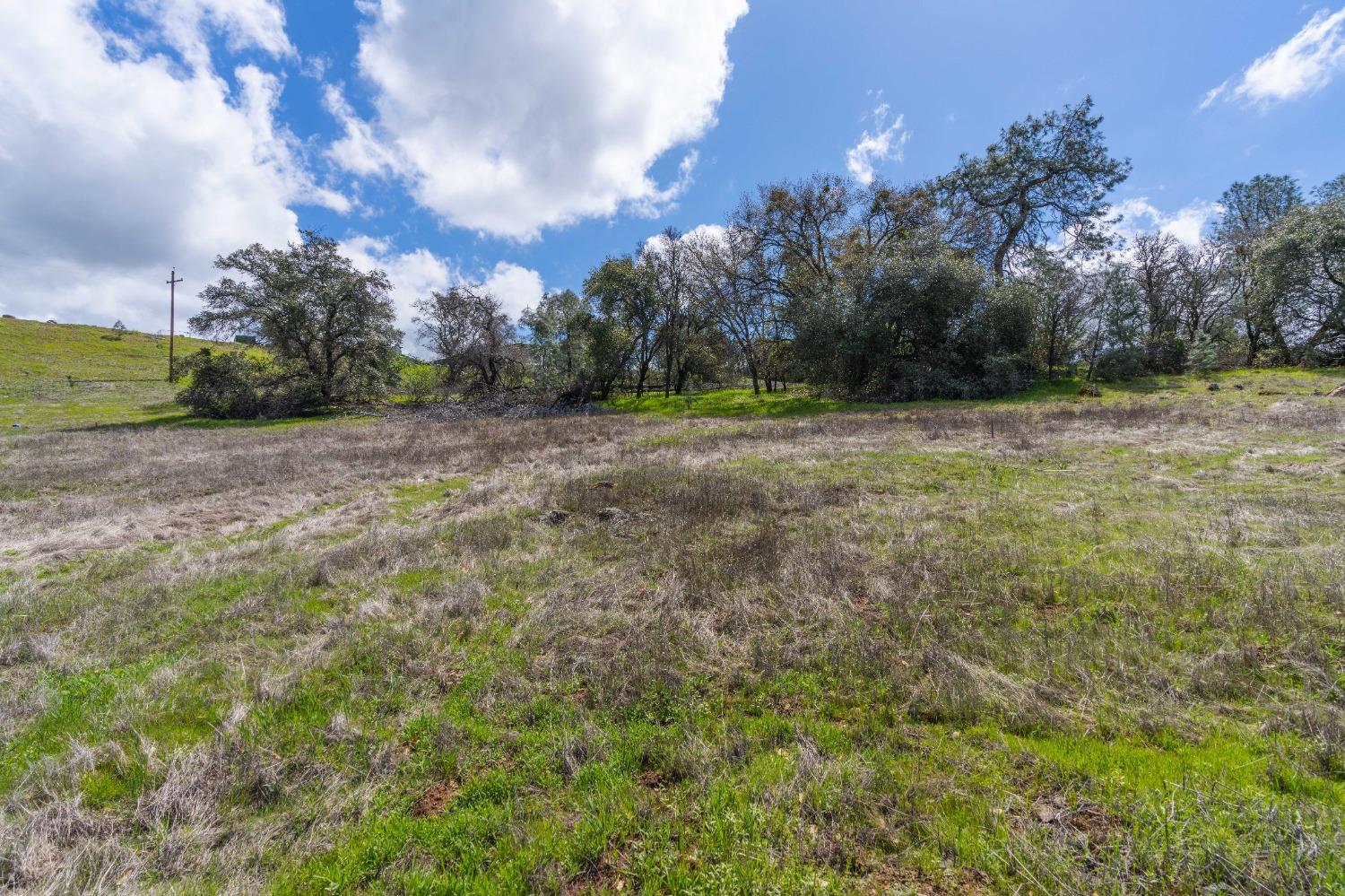 0 Ridge Road Sutter Creek, CA 95685 - Photo 5 of 14 a view of a field with trees