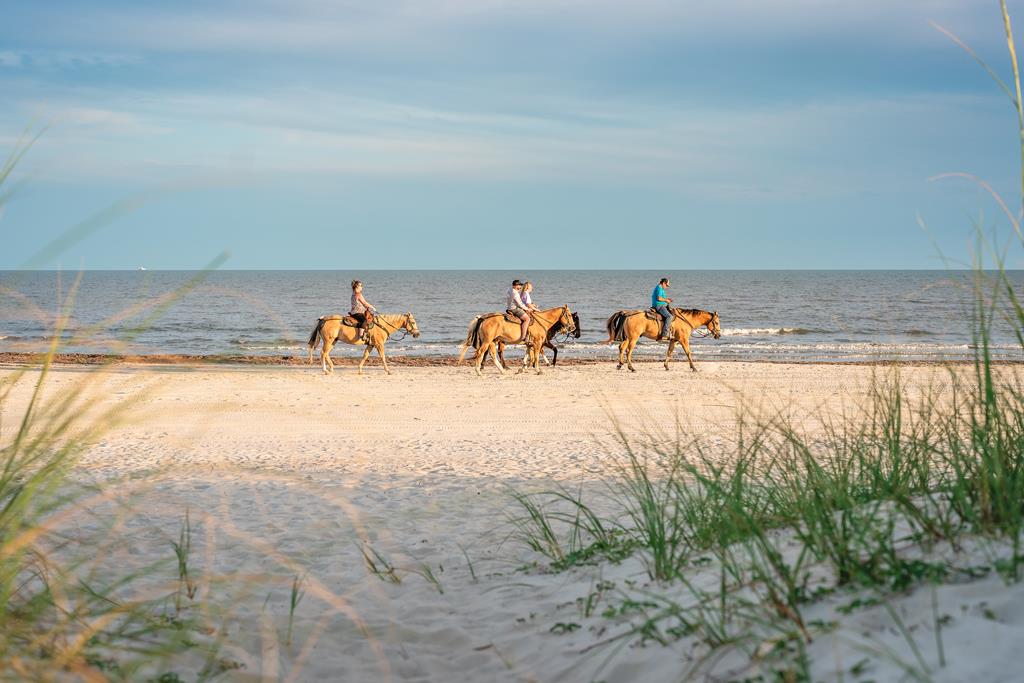 788 Backwater Road Port St. Joe, FL 32456 - Photo 87 of 89