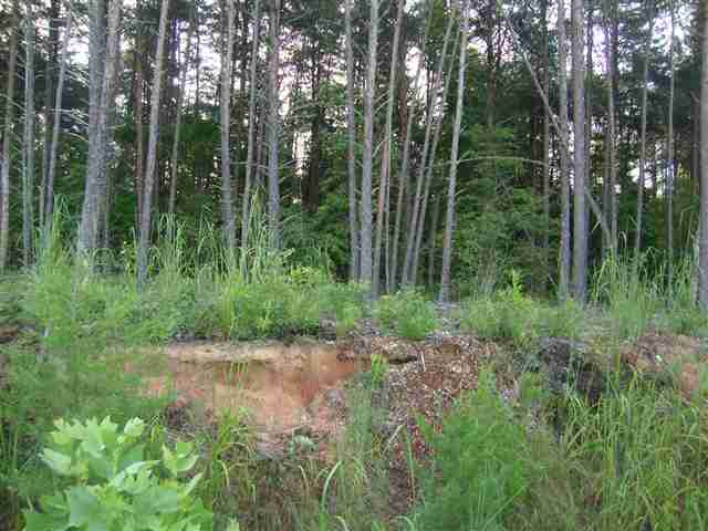 4 Pickens Drive Pendleton, SC 29670 - Photo 1 of 4 Gallery Image 1