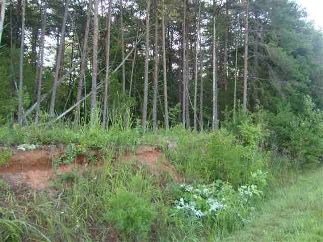 4 Pickens Drive Pendleton, SC 29670 - Photo 2 of 4 Gallery Image 2