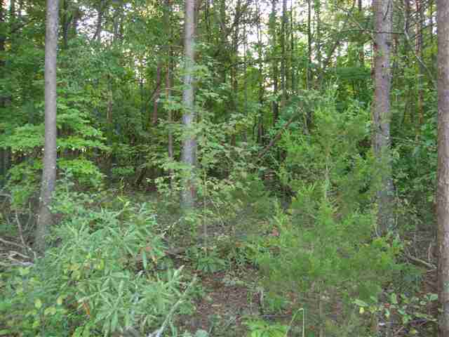 4 Pickens Drive Pendleton, SC 29670 - Photo 3 of 4 Gallery Image 3