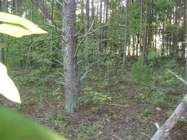 4 Pickens Drive Pendleton, SC 29670 - Photo 4 of 4 Gallery Image 4