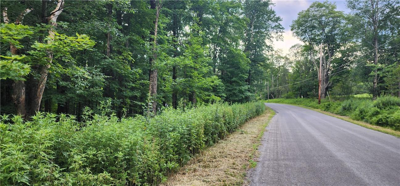 11 Todd Road Woodbourne, NY 12788 - Photo 1 of 1 Gallery Image 1