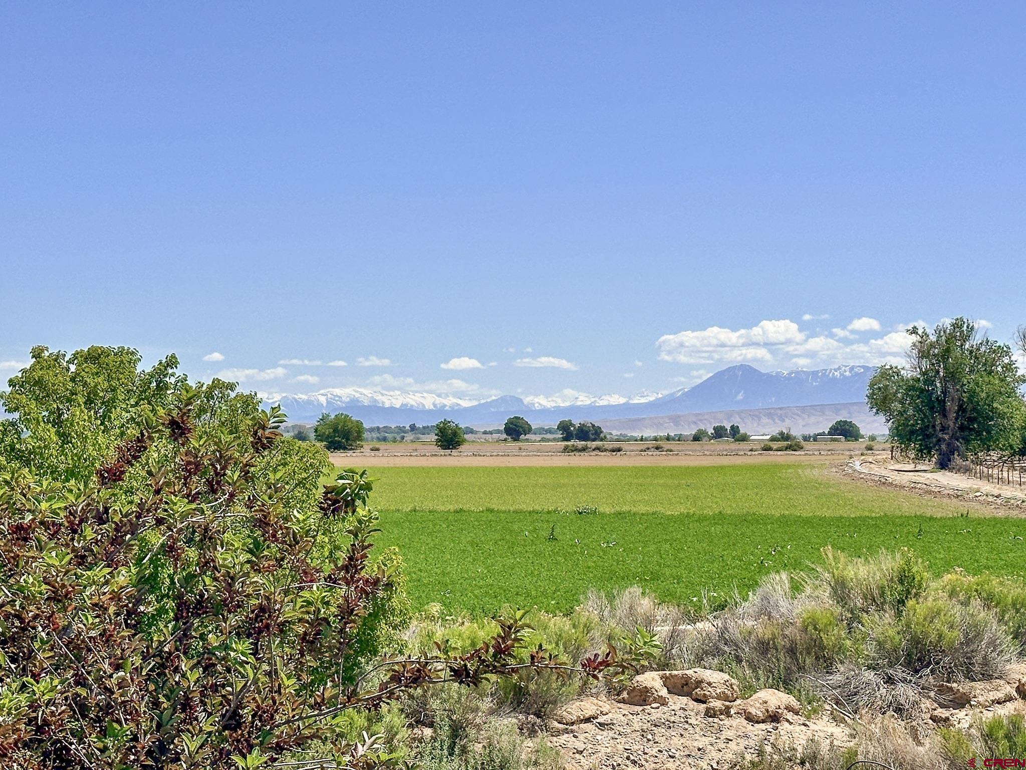 3026 1360th Road Delta, CO 81416 - Photo 31 of 35 Gallery Image 31