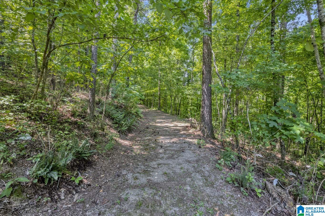 84 Dorr Road Oneonta, AL 35121 - Photo 39 of 44