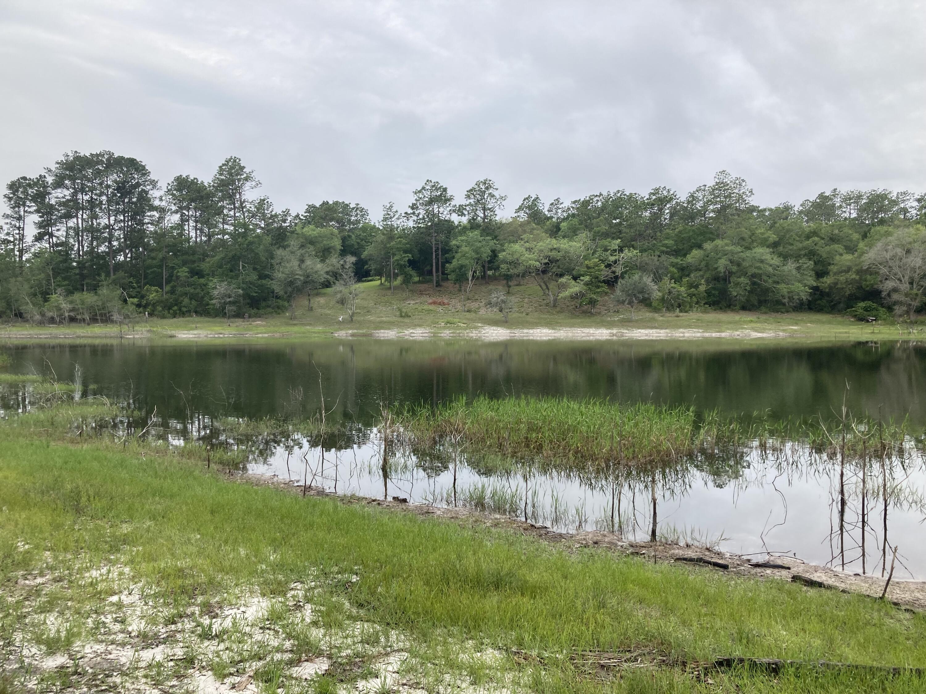 a view of a lake