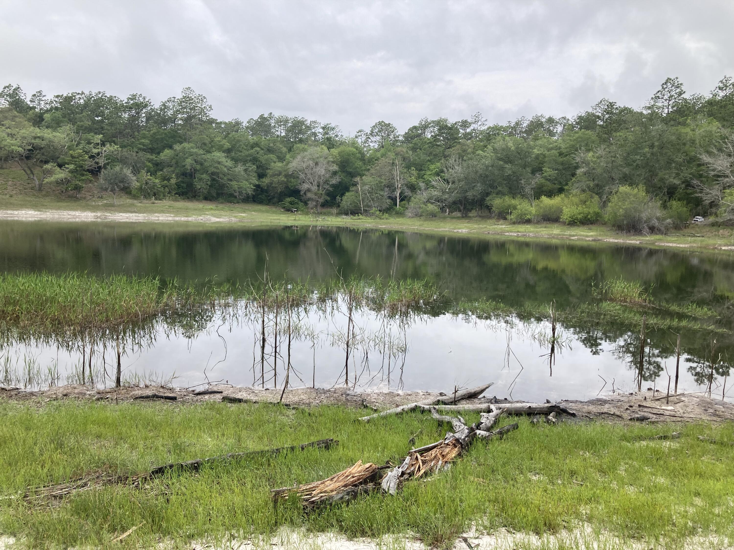 Tbd Payne Lake Road Chipley, FL 32428 - Photo 2 of 20 a view of a lake in a garden