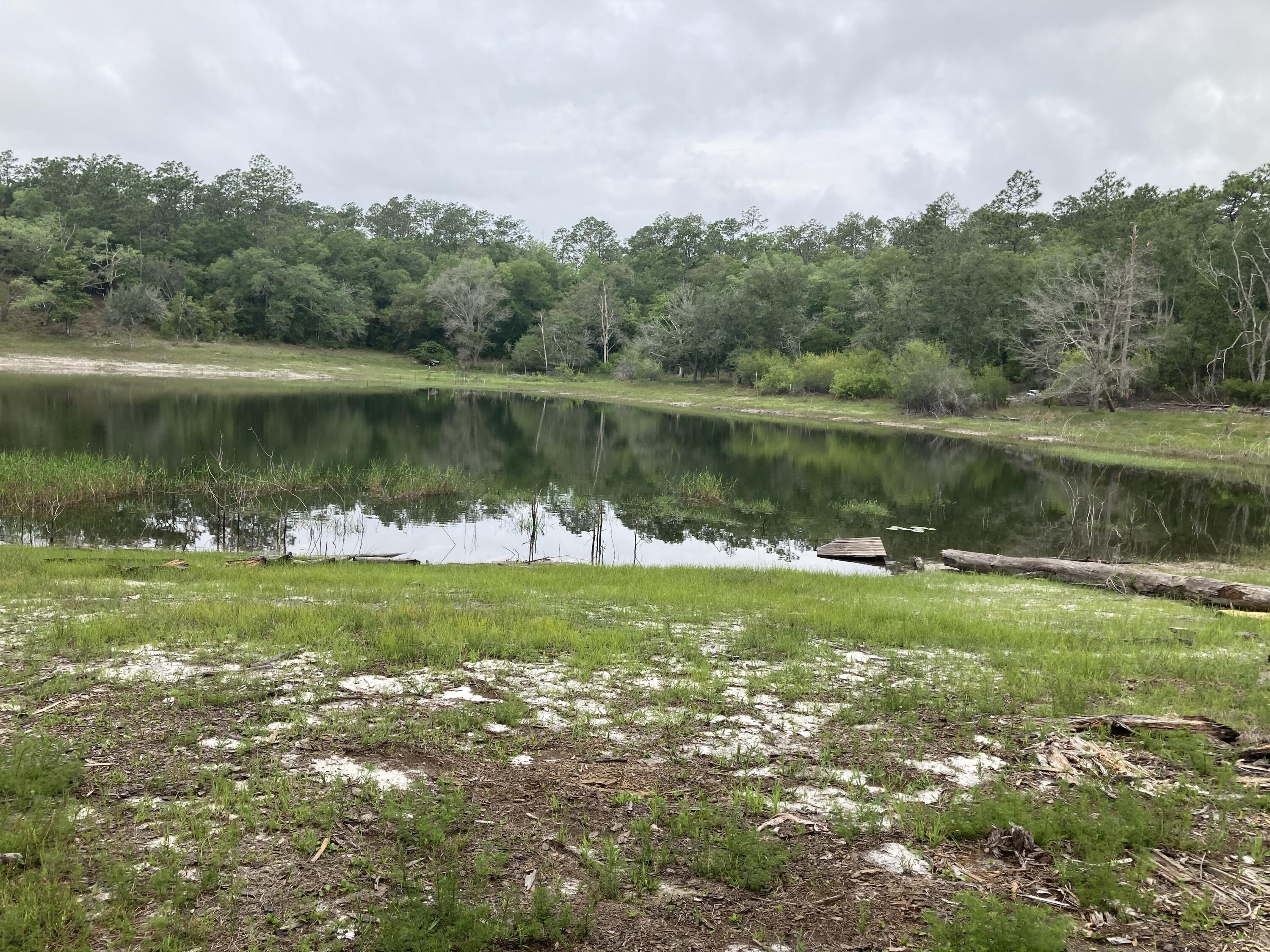 Tbd Payne Lake Road Chipley, FL 32428 - Photo 4 of 20 a view of a lake with a city