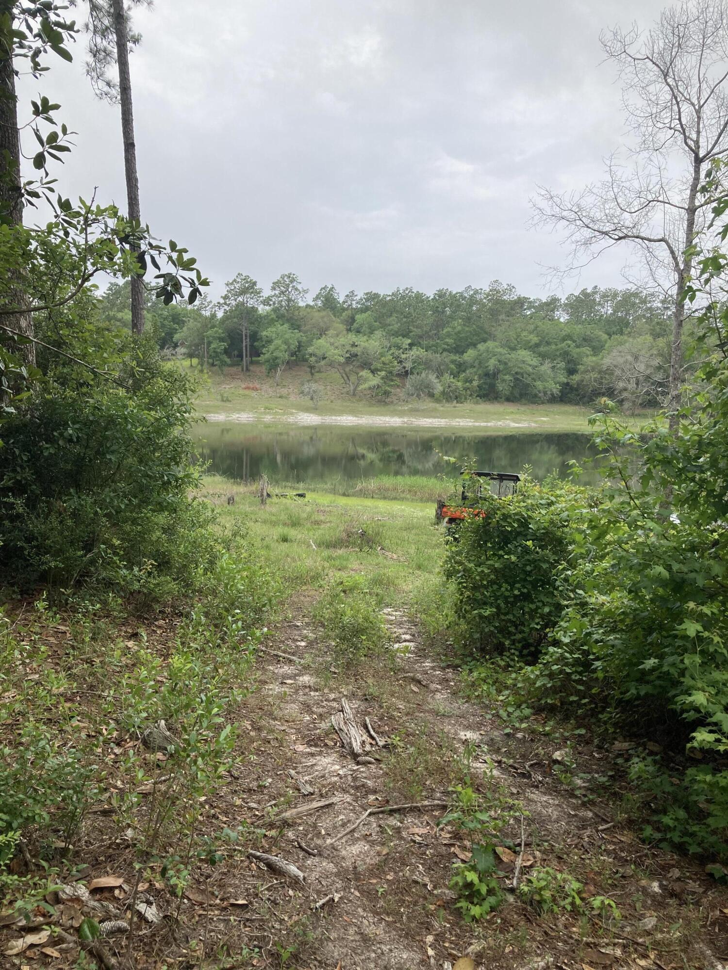 Tbd Payne Lake Road Chipley, FL 32428 - Photo 5 of 20 a view of lake with green space