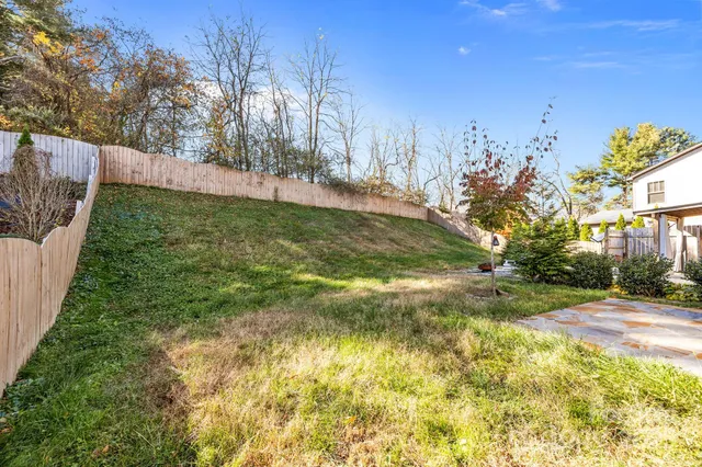 a view of yard with tree in the background