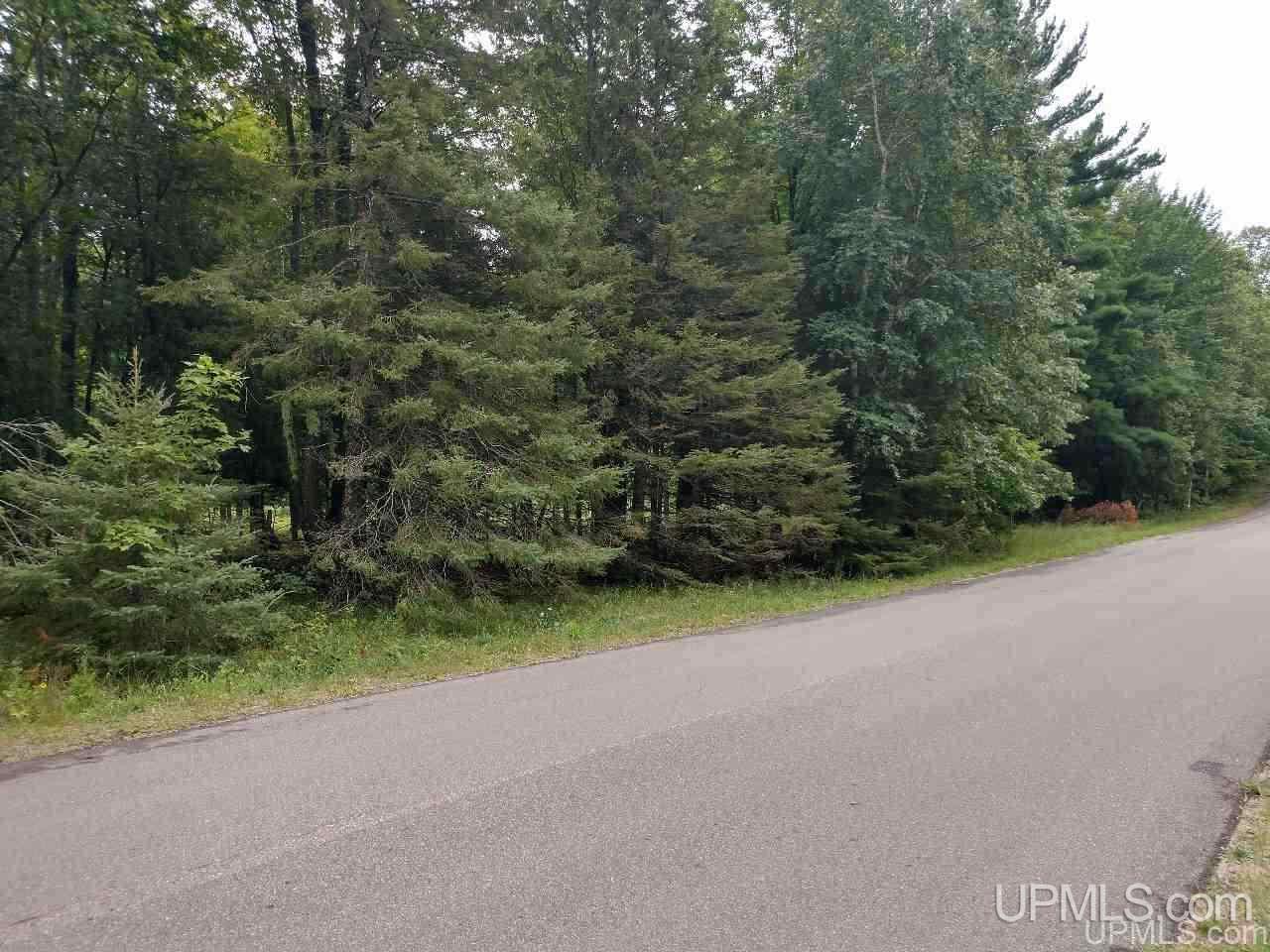 5-acres Co Rd Sa Cornell, MI 49818 - Photo 5 of 27