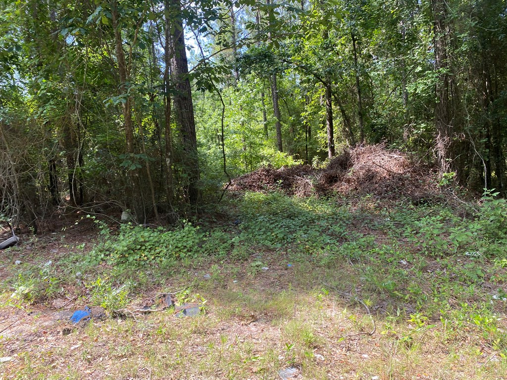 0 Drew Road Dothan, AL 36303 - Photo 6 of 8