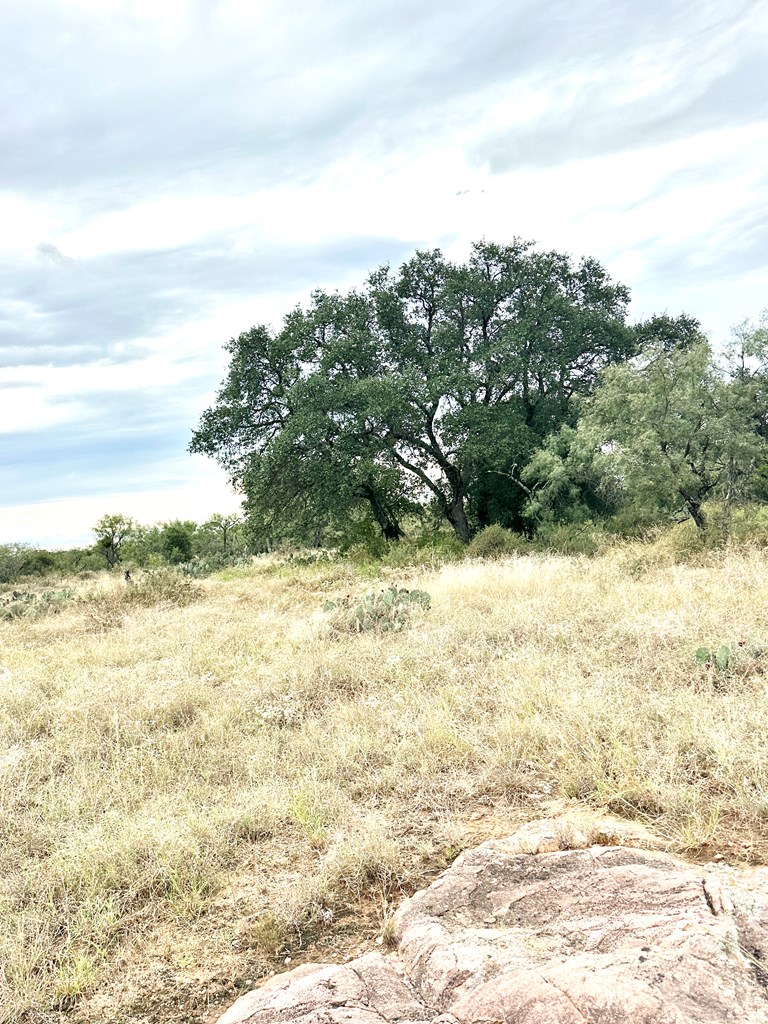 1981 Kothmann Road Art, TX 76820 - Photo 2 of 10