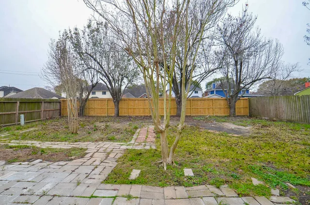 a view of backyard with tree