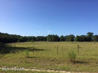 0 Lawrence Road Marianna, FL 32446 - Photo 1 of 2 Gallery Image 1