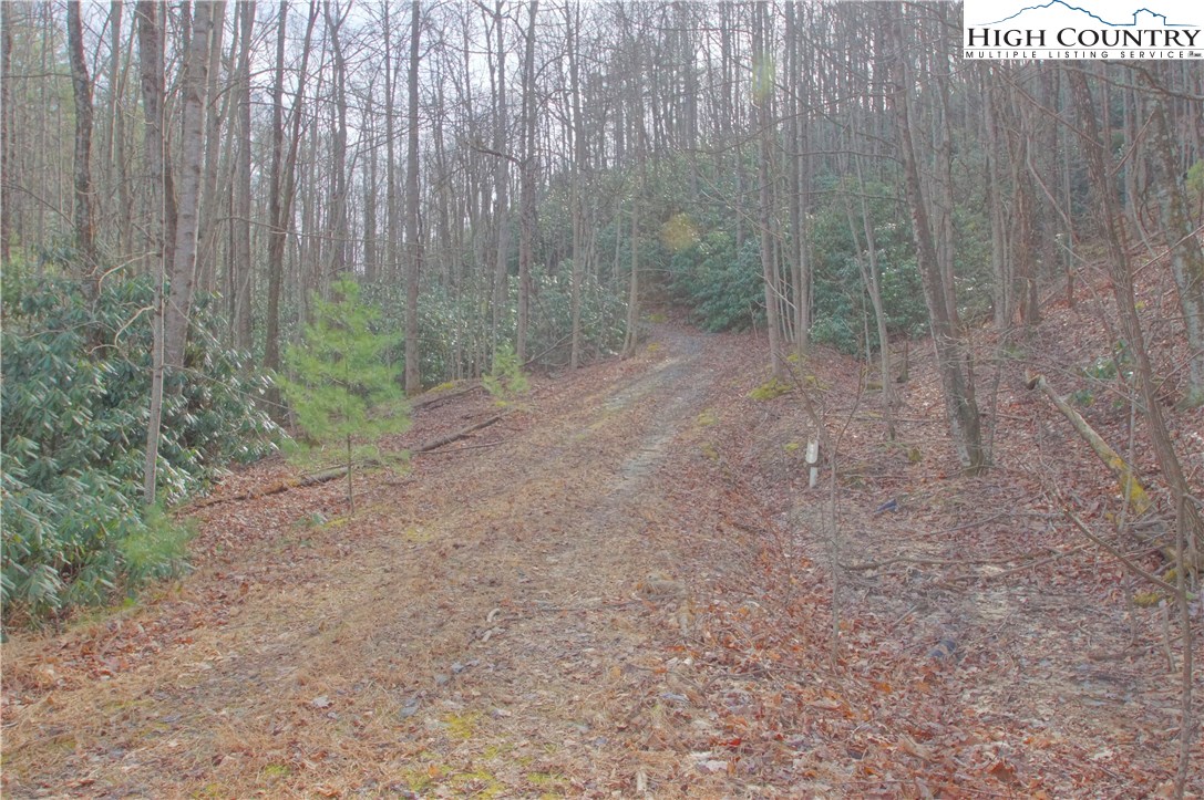 7427 Sampson Road Lenoir, NC 28645 - Photo 3 of 26 Gallery Image 3