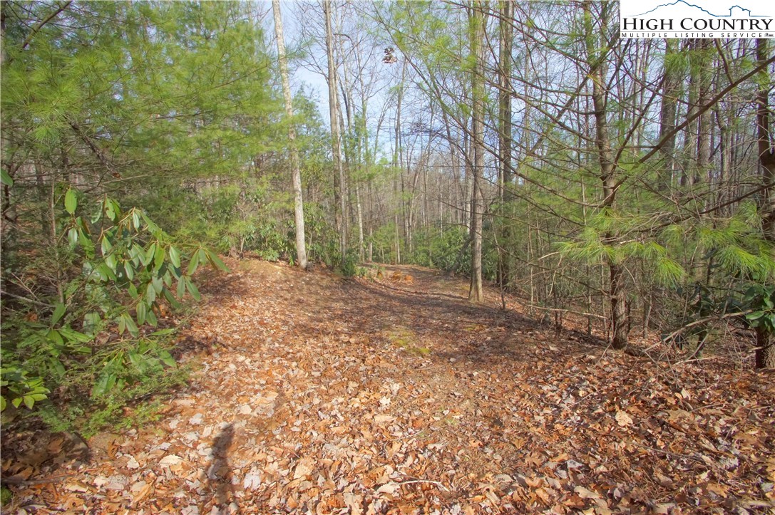 7427 Sampson Road Lenoir, NC 28645 - Photo 7 of 26 Gallery Image 7