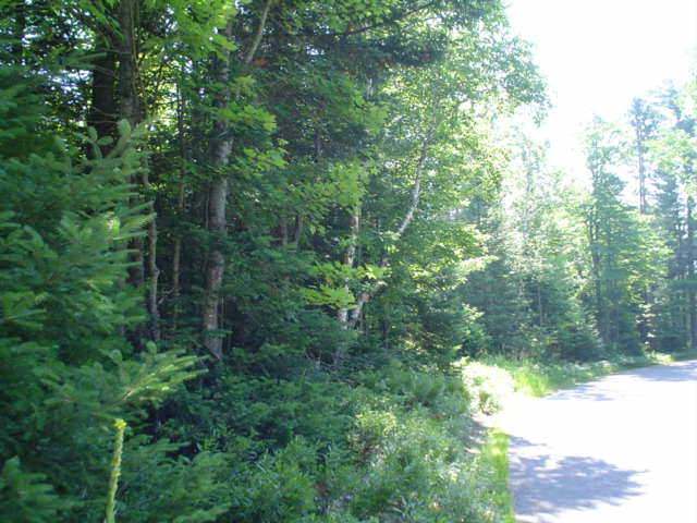 Lot G1-3 Aldridge Lake Road Eagle River, WI 54521 - Photo 3 of 5 Gallery Image 3